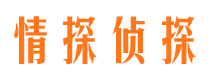 清丰市调查取证